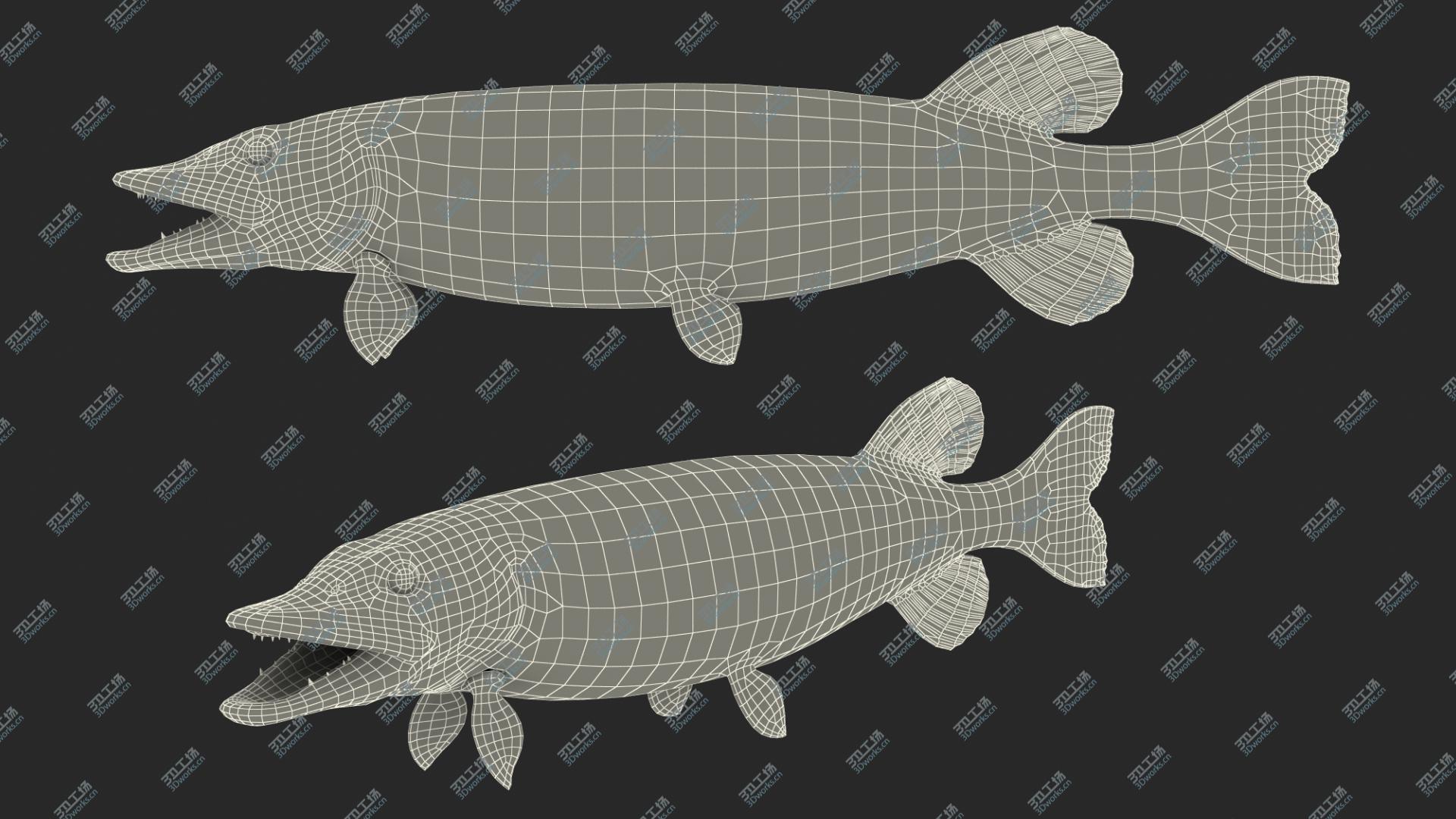 images/goods_img/2021040235/Pike Fish Rigged 3D/5.jpg